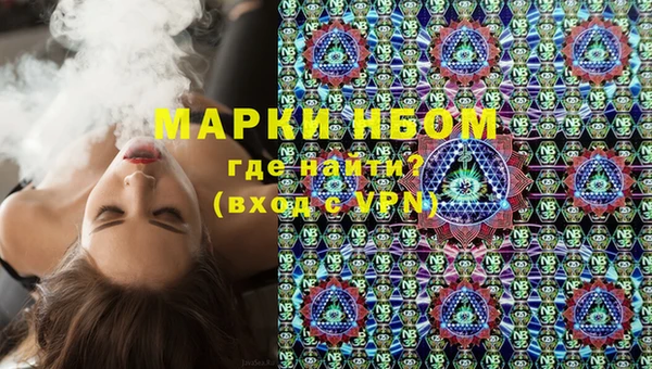 стаф Покачи