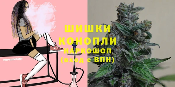 мдпв Балахна