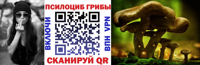Купить где  Буйнакск  Псилоцибиновые грибы мухоморы 