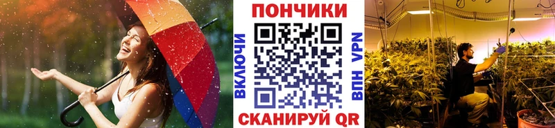 Купить закладки Буйнакск Бошки марихуана семена